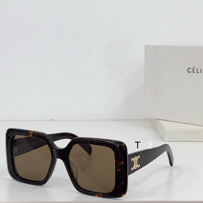 Celine Sunglasses ID:20240804-27